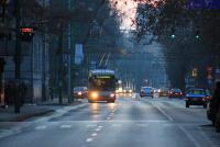 Imagine atasata: IMG_0033.JPG